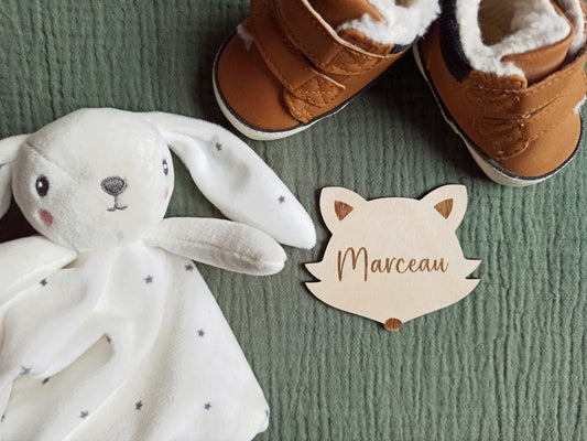 Annonce Bébé Renard